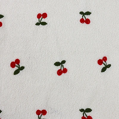 Teddy Fleece Fabric